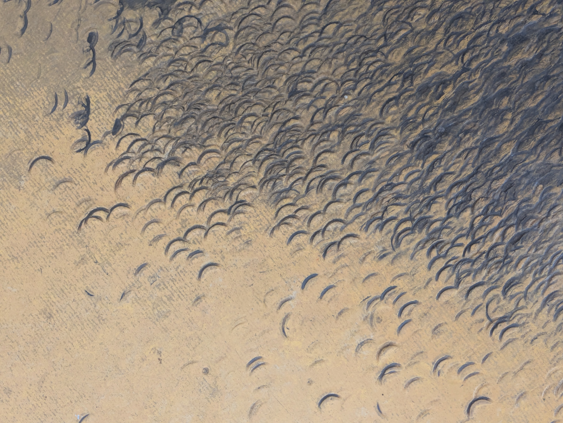 The edge of the swarm, where individual marks are still legible and the rhythm of the hand can be counted.